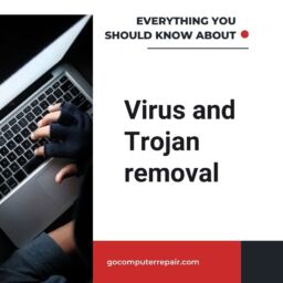 Virus and Trojan removal