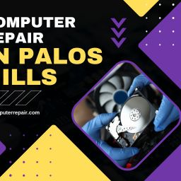 Computer repair in Palos Hills
