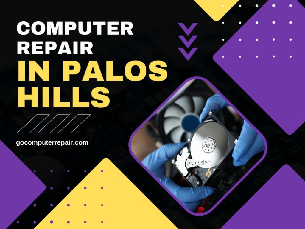 Computer repair in Palos Hills